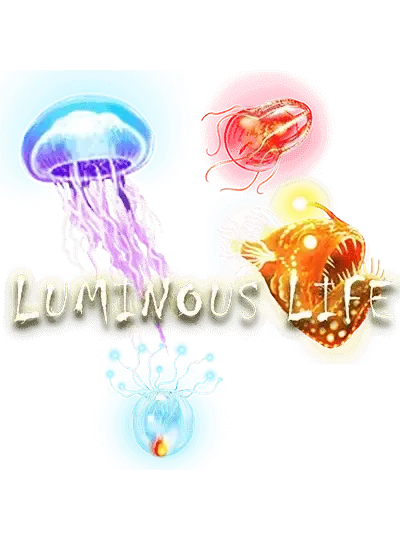 ঝলমলে জীবন - cv6666 স্লট গেম